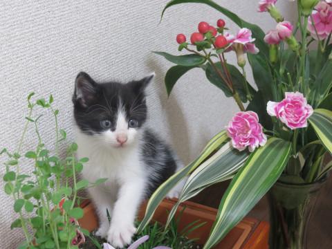 甘えん坊な男の子