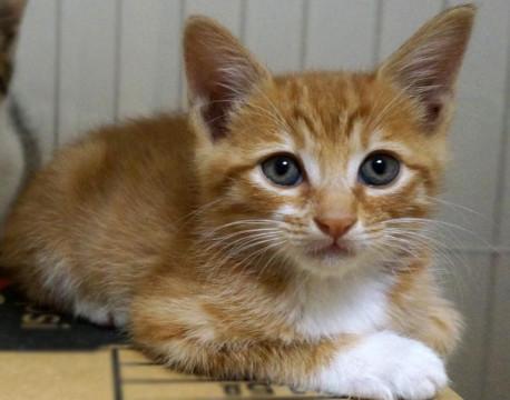 優しくしっかりモイモイちゃん