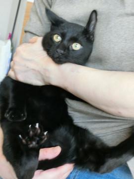 5か月齢の黒くん