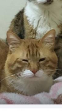 助けて下さい?たらいまわしに遭ってる可哀