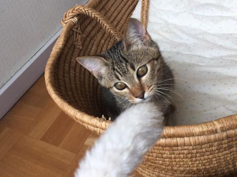 一緒に遊ぶのが大好きです！