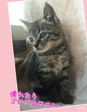 少しシャイな推定１ヶ月半の女の子