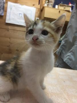 可愛い5兄妹！