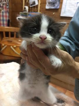 可愛い5兄妹！