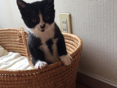 とびきりの元気坊や