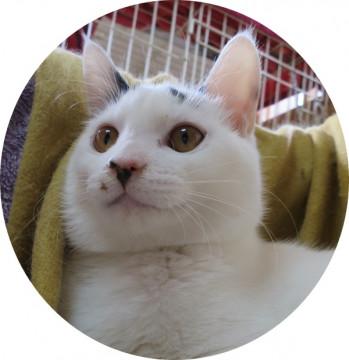 ボーっとしている男の子