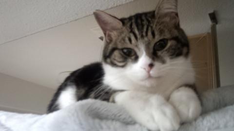 かまってちゃん　甘えん坊です　