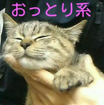 ハンデがあっても元気いっぱいなクララです