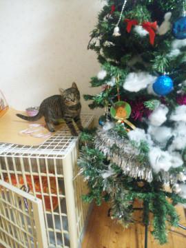 ワンチャンと仲良しです⭐
