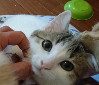 元気ーーー！！「イチロー」くん