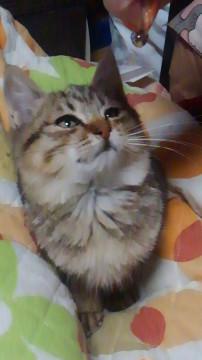 ごろすりのイケメンboy!