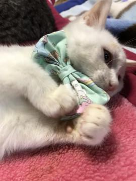 のんびり可愛い男の子