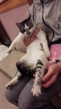 元気で人慣れしてるオレオくん