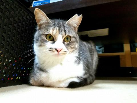 トライアル中！『ゆきな』ちゃん