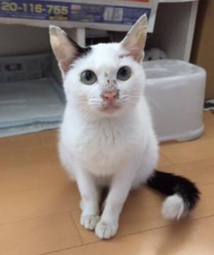 おっとり姫です♪