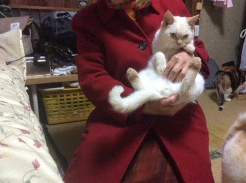甘えん坊さん