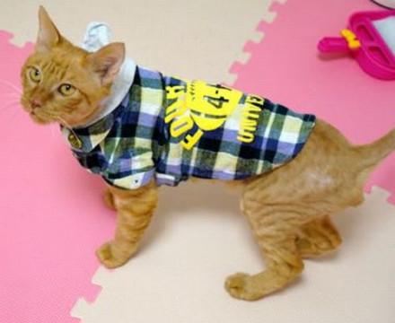 満身創痍からの回復！甘えんぼイケメン☆