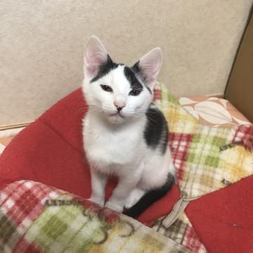 塩顔ヤンチャBoy!