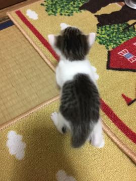 家族になりたい