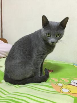 家族になりたい