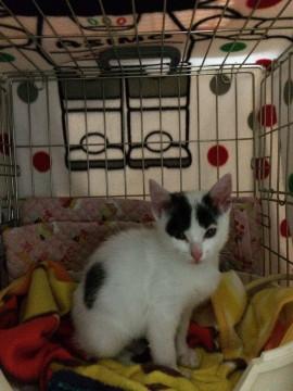 馴れなれでチャーミングな桃子ちゃん