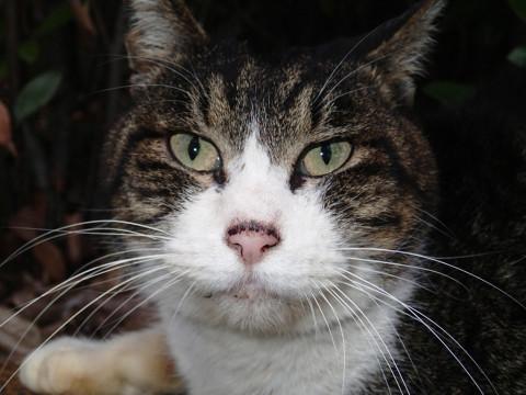 ビビッときませんか？