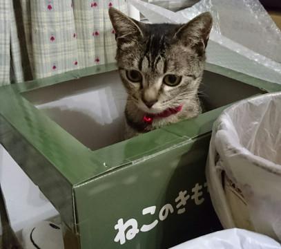 3/6写真追加。顔ちっちゃい可愛い女の子
