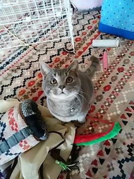 元気で人懐っこいイケメンのゆずる君です