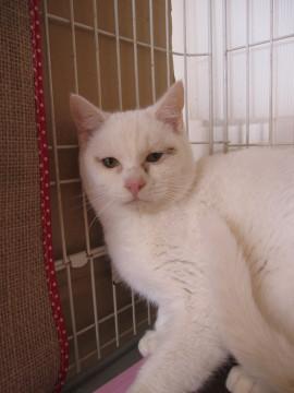 動画あり熊本っ子のかまってちゃん