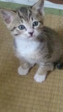 元気いっぱい