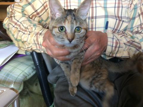 人懐こい甘えん坊