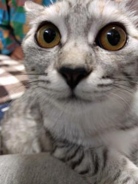 尾長のみるくちゃん♪