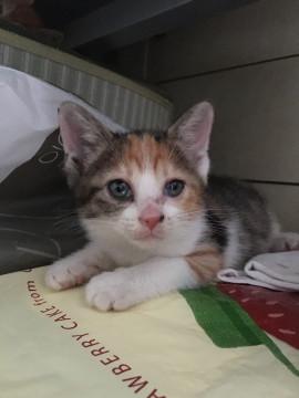 活発な女の子！