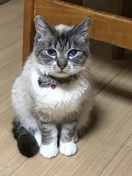 今度こそ幸せになってね。