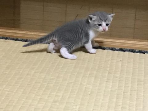 5/20生まれです(^^)