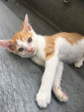 クリクリおめめの女の子♪