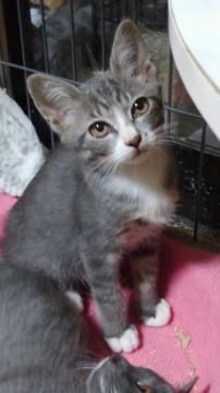 ビビりなイケメン君