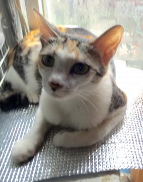 可愛いでしょ？