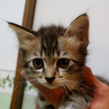 小さくて元気です。