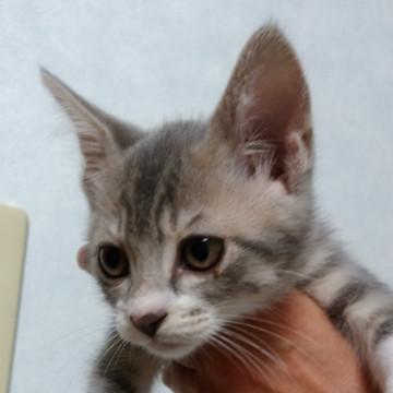 小さくて元気です。