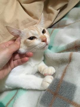 面会予定♪一旦停止します