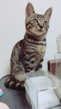 やんちゃな甘えんぼう(*^o^*)