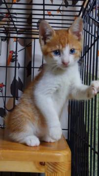 離乳済の女の子