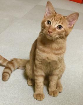 甘えん坊一族の次男です