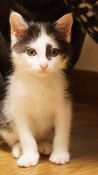 毒気ゼロのオコゼくん！！