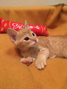 ８月５日に生まれて