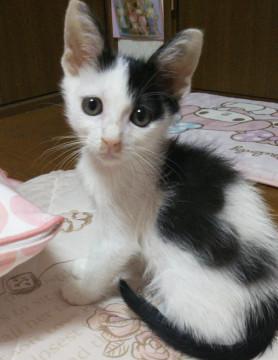 とても賢いいい子ちゃん✨