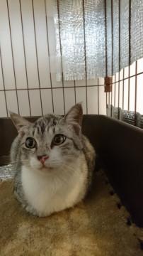 交渉中のため一時募集を停止します