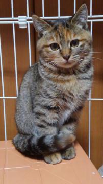 むっちり可愛こちゃん