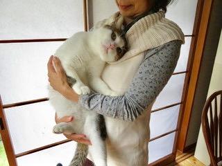 大人しいさんぺい君 1〜2才